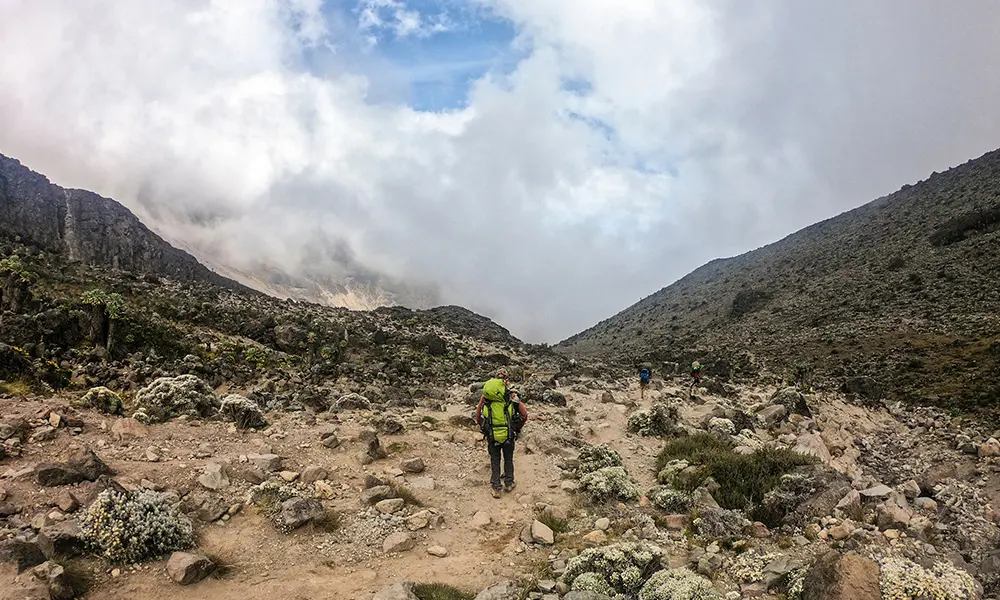 Kilimanjaro activity - GlobalXplorers