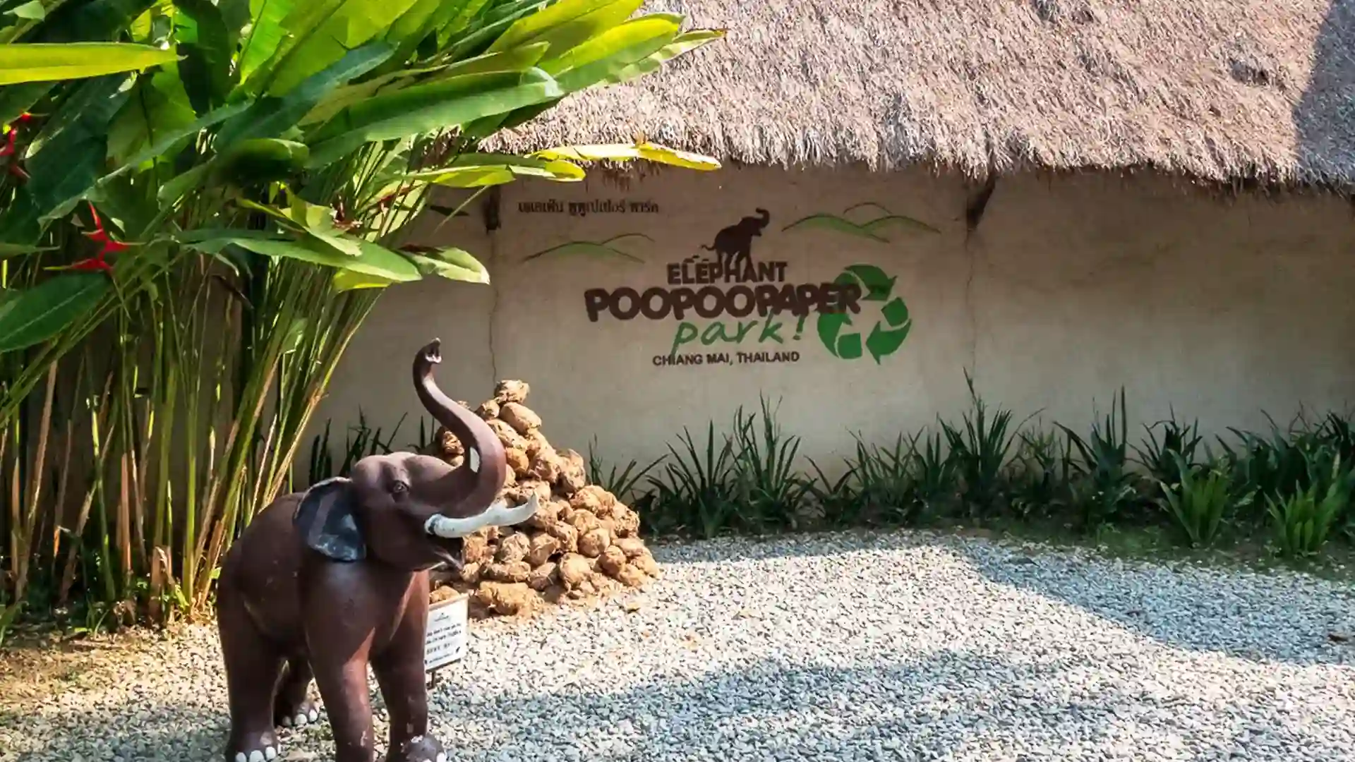 Elephant Poopoopaper - Park - GlobalXplorers