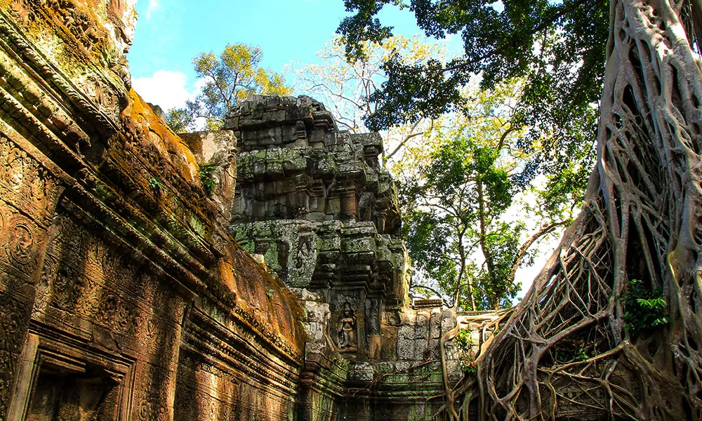 Private Angkor Wat Tour from Siem Reap