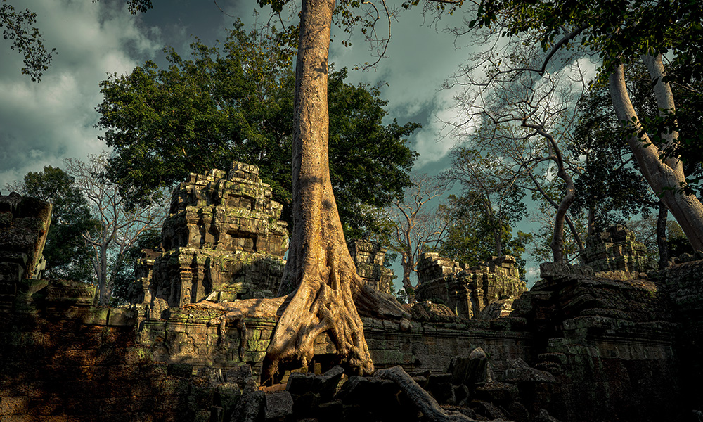 Discovery of Angkor <img src=https://globalxplorers.com/wp-content/uploads/2022/12/Active.png class=activebut>