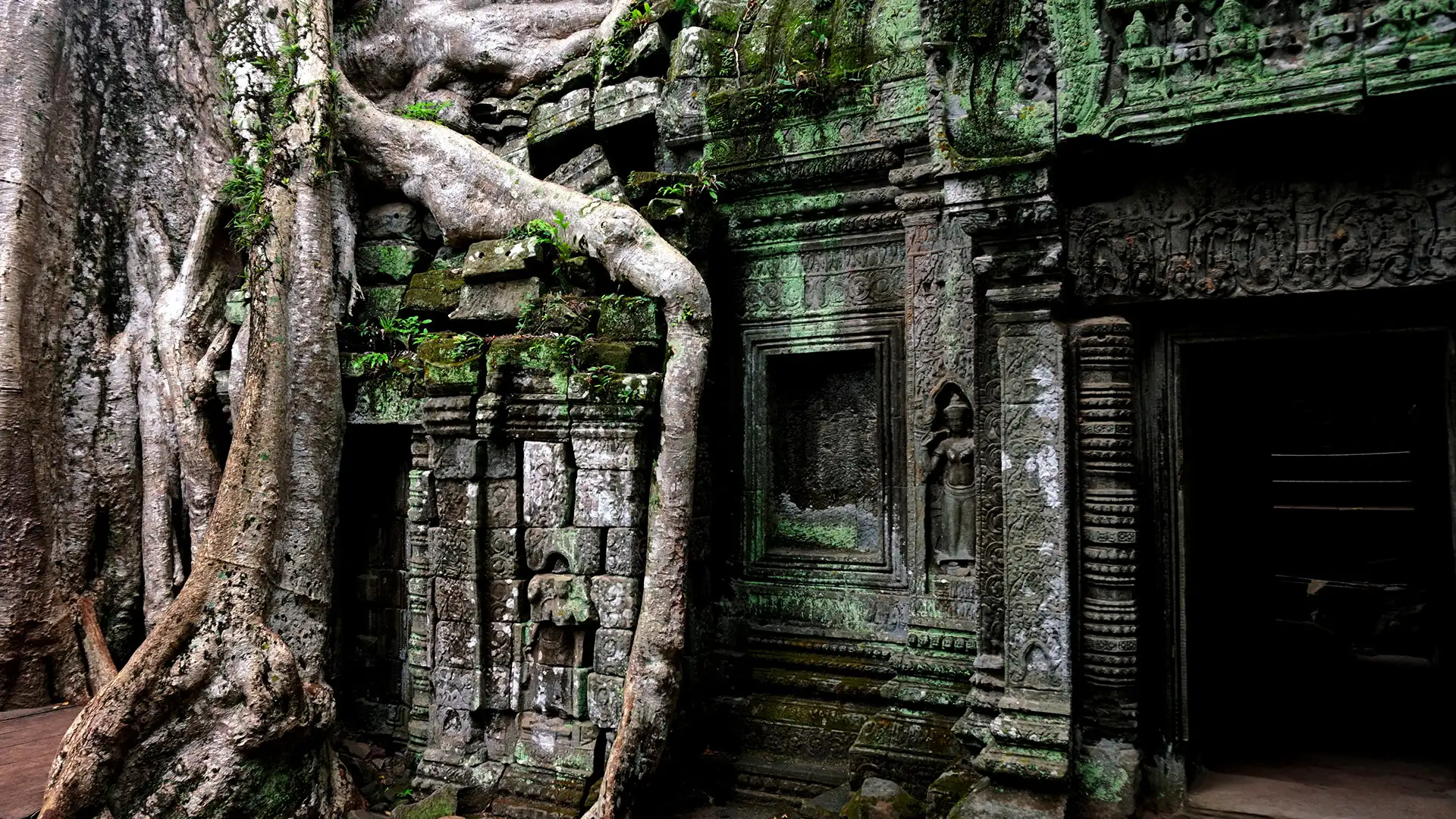 Ta Prohm - Cambodia - GlobalXplorers