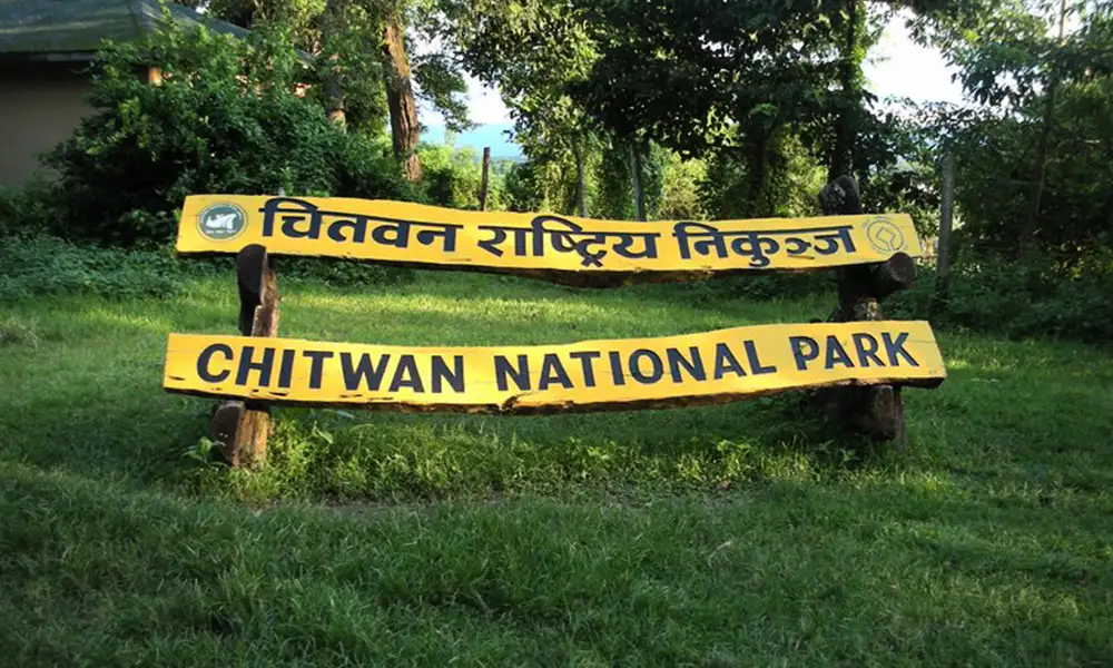 Chitwan National Park - GlobalXplorers