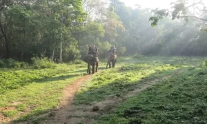 Chitwan Nepal