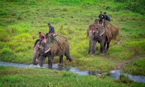 Chitwan national park Nepal