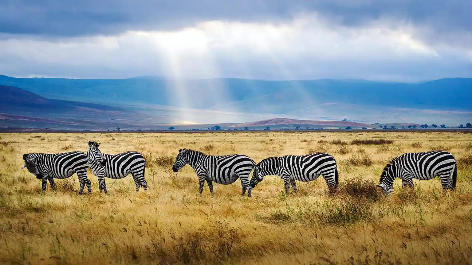 Ngorongoro Crater - Globalxplorers
