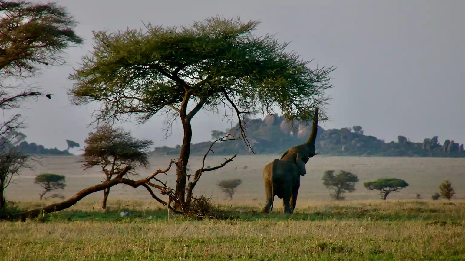 Serengeti National Park - Globalxplorers