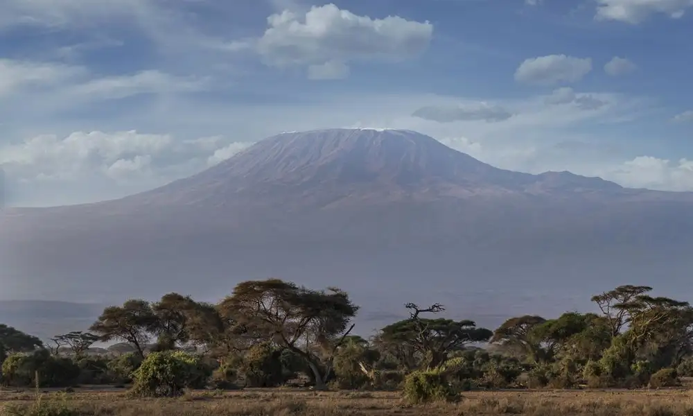 Rongai Route - Kilimanjaro - Globalxplorers