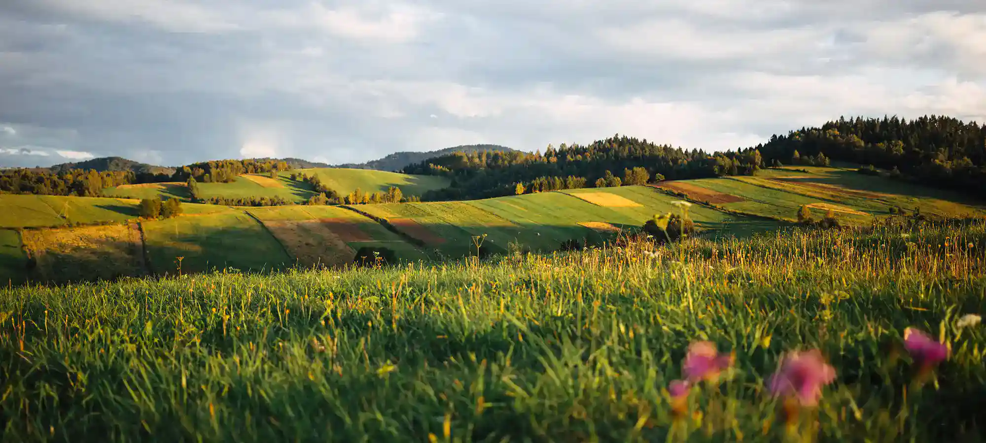 Bieszczady Mountains, Poland - GlobalXplorers