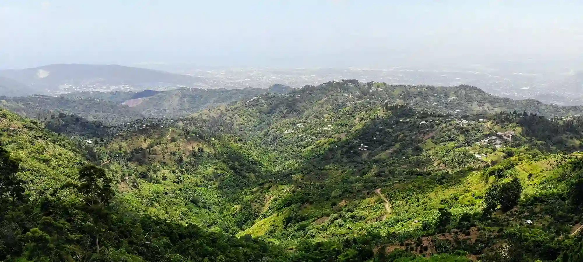 Blue Mountain, Jamaica - GlobalXplorers