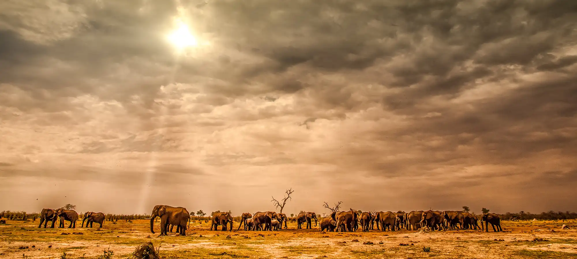 GlobalXplorers Botswana - Globalxplorers