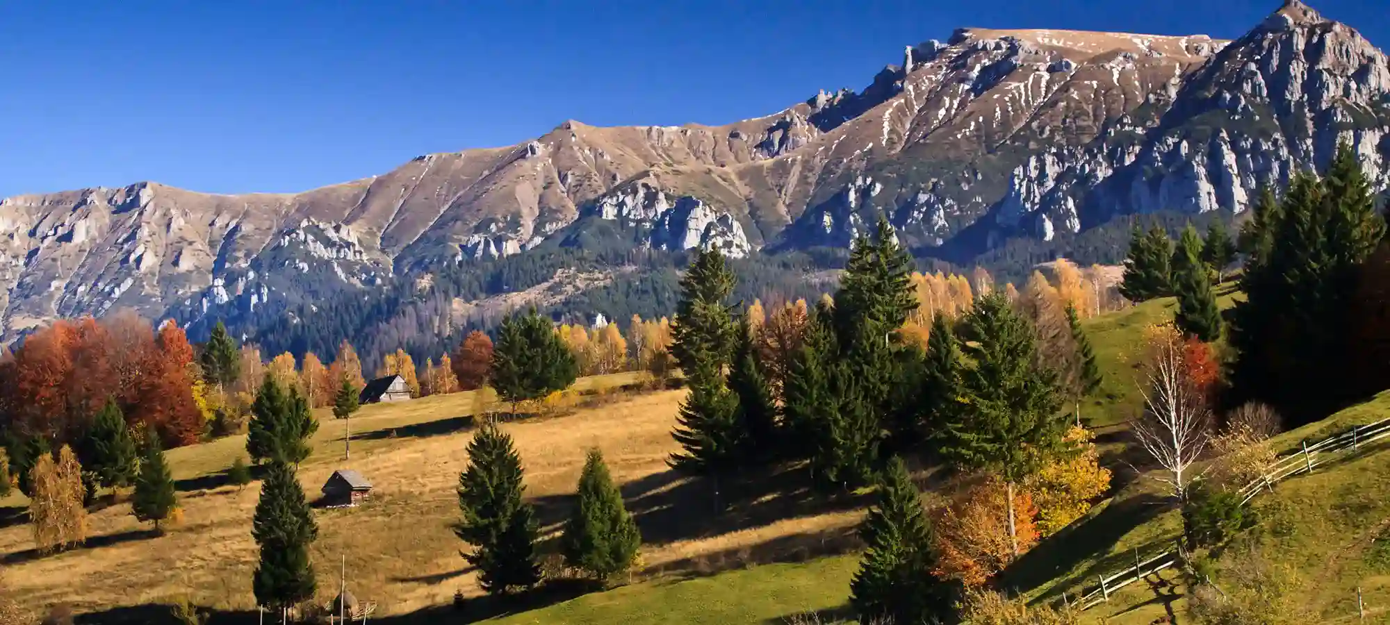 GlobalXplorers Bran, Romania - GlobalXplorers