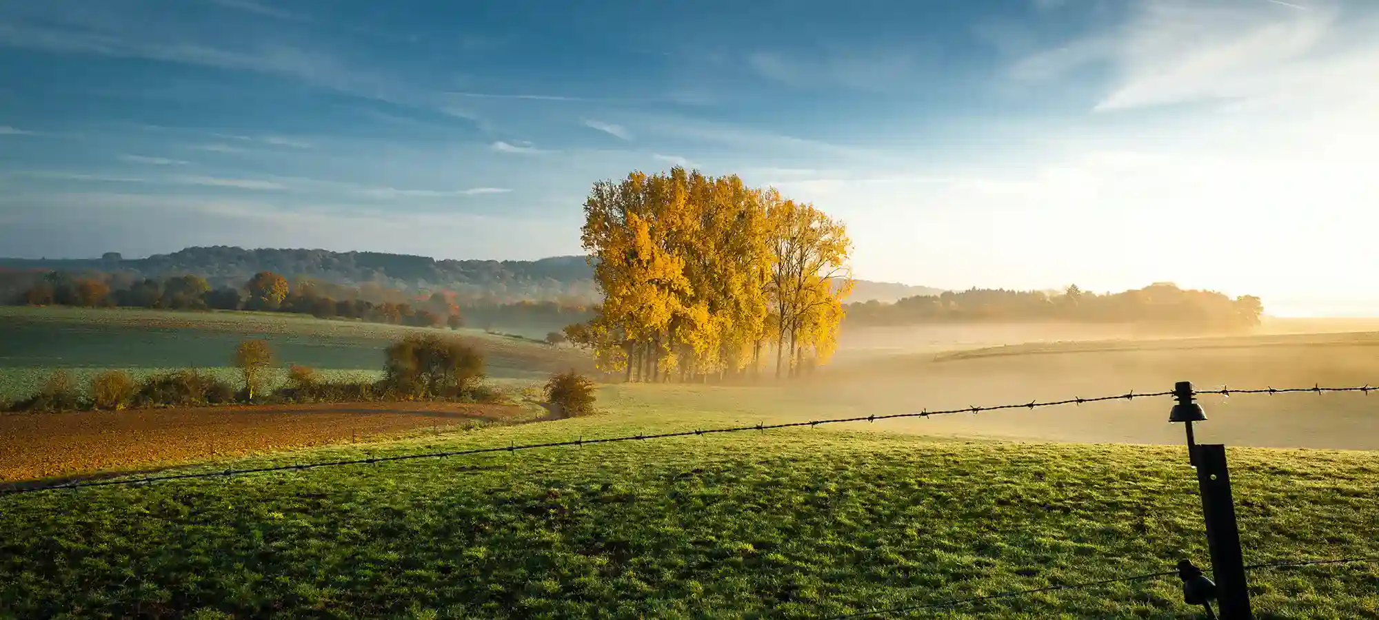 Bruges, Belgium - GlobalXplorers