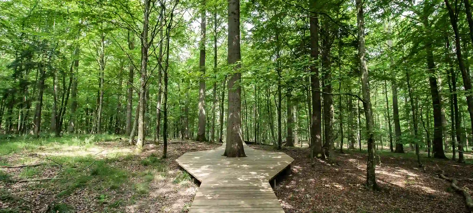 GlobalXplorers Camp Adventure, Rønnede, Denmark - GlobalXplorers