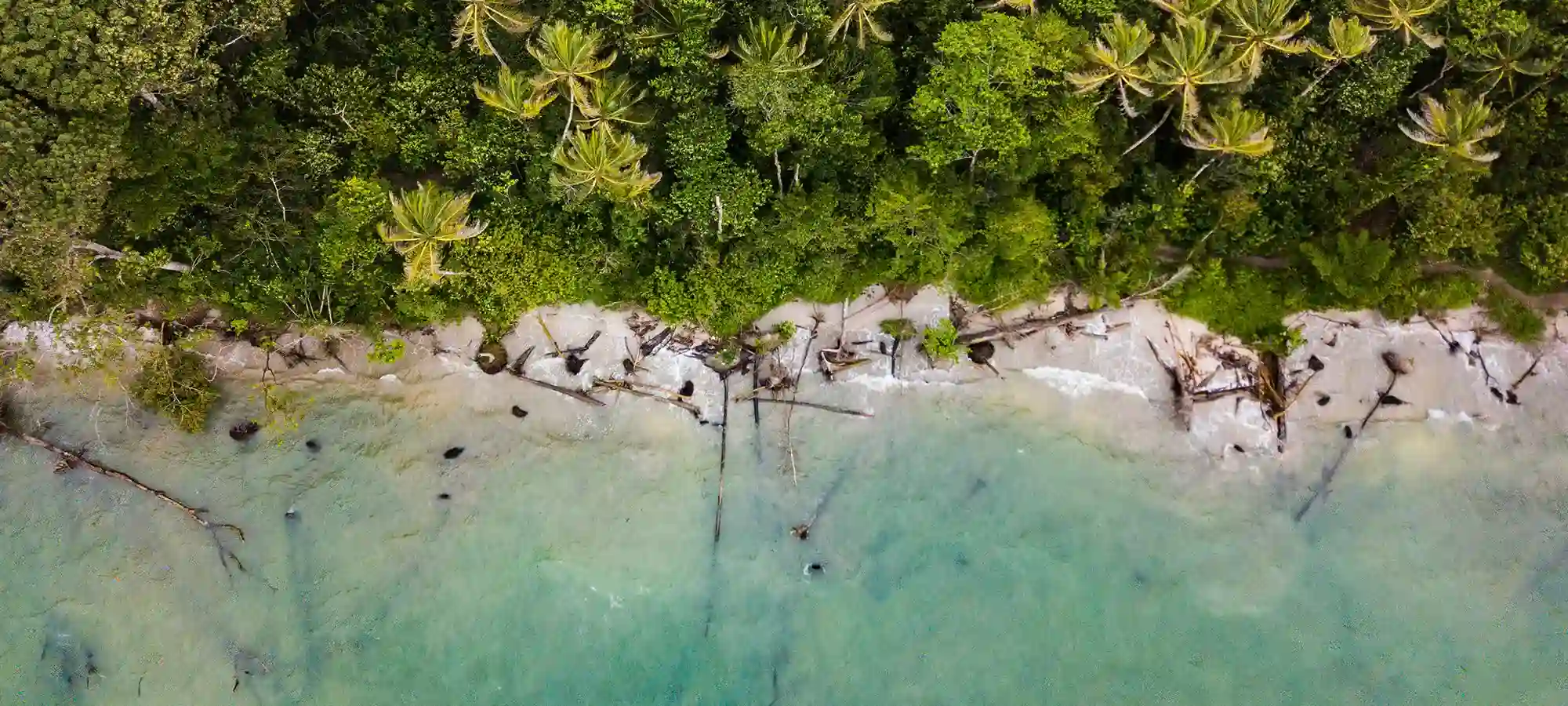 Costa Rica - GlobalXplorers