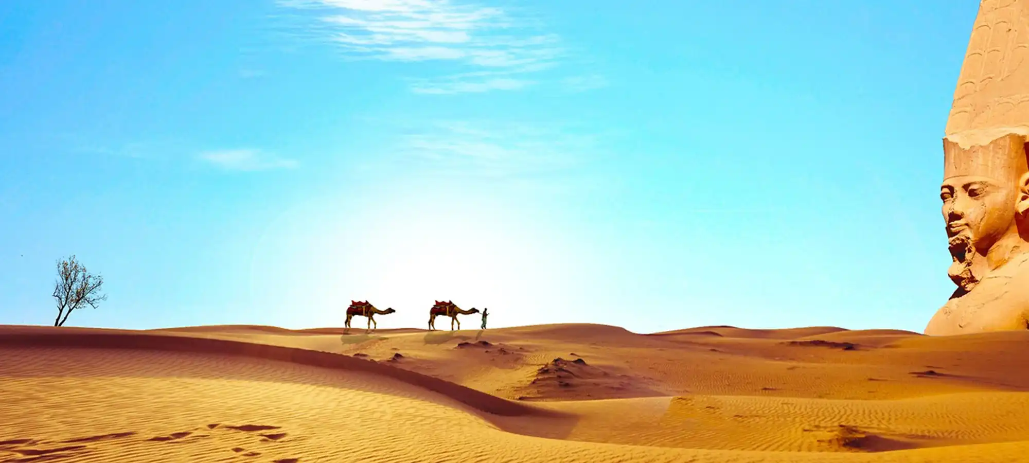 GlobalXplorers Egypt - Globalxplorers