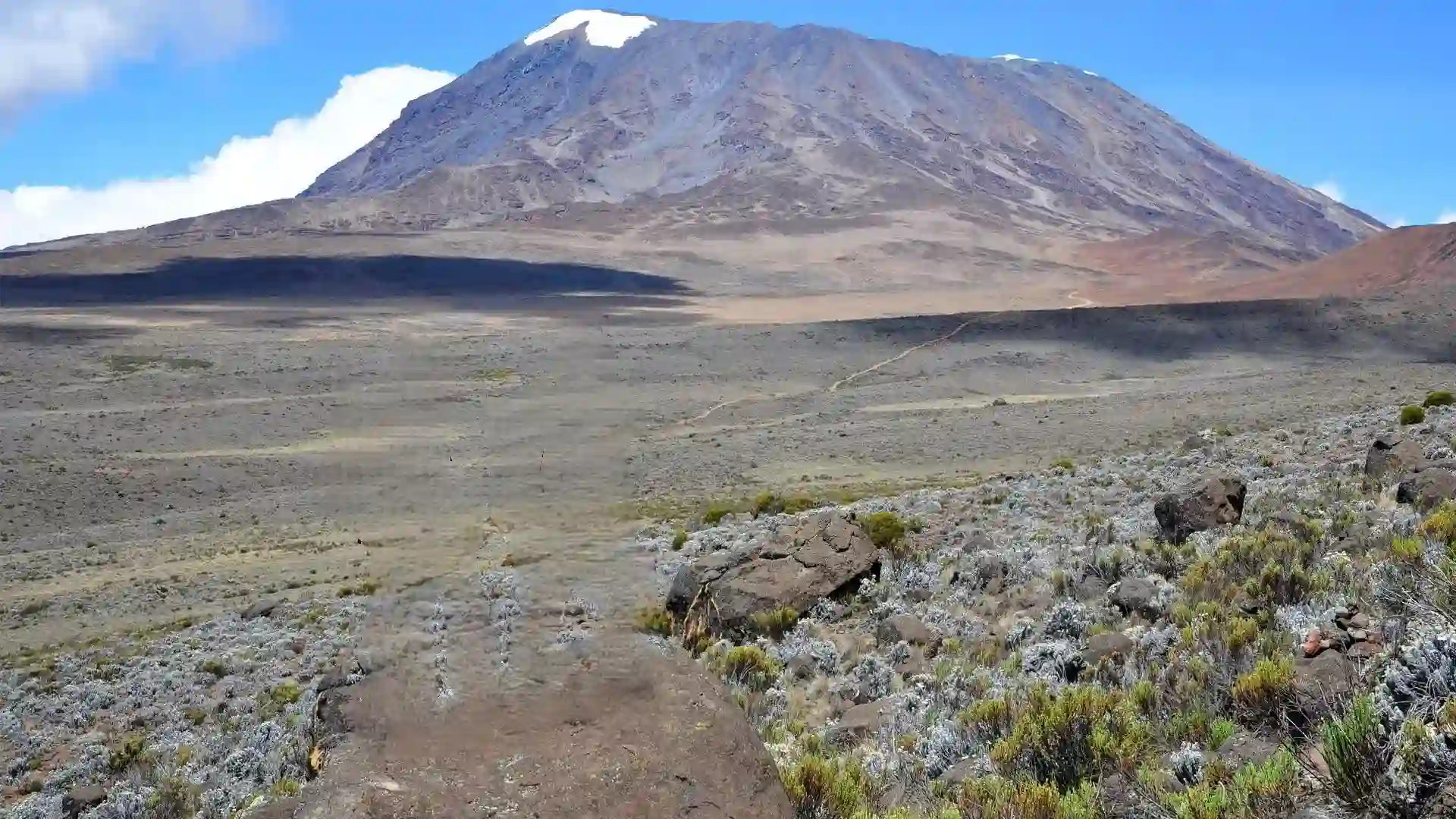 Kilimanjaro Northern Circuit - GlobalXplorers