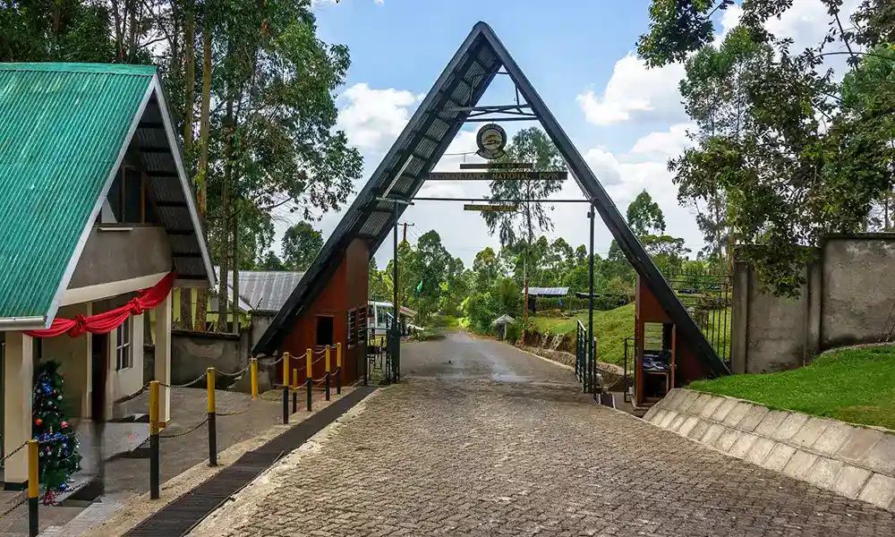 Machame Gate - GlobalXplorers