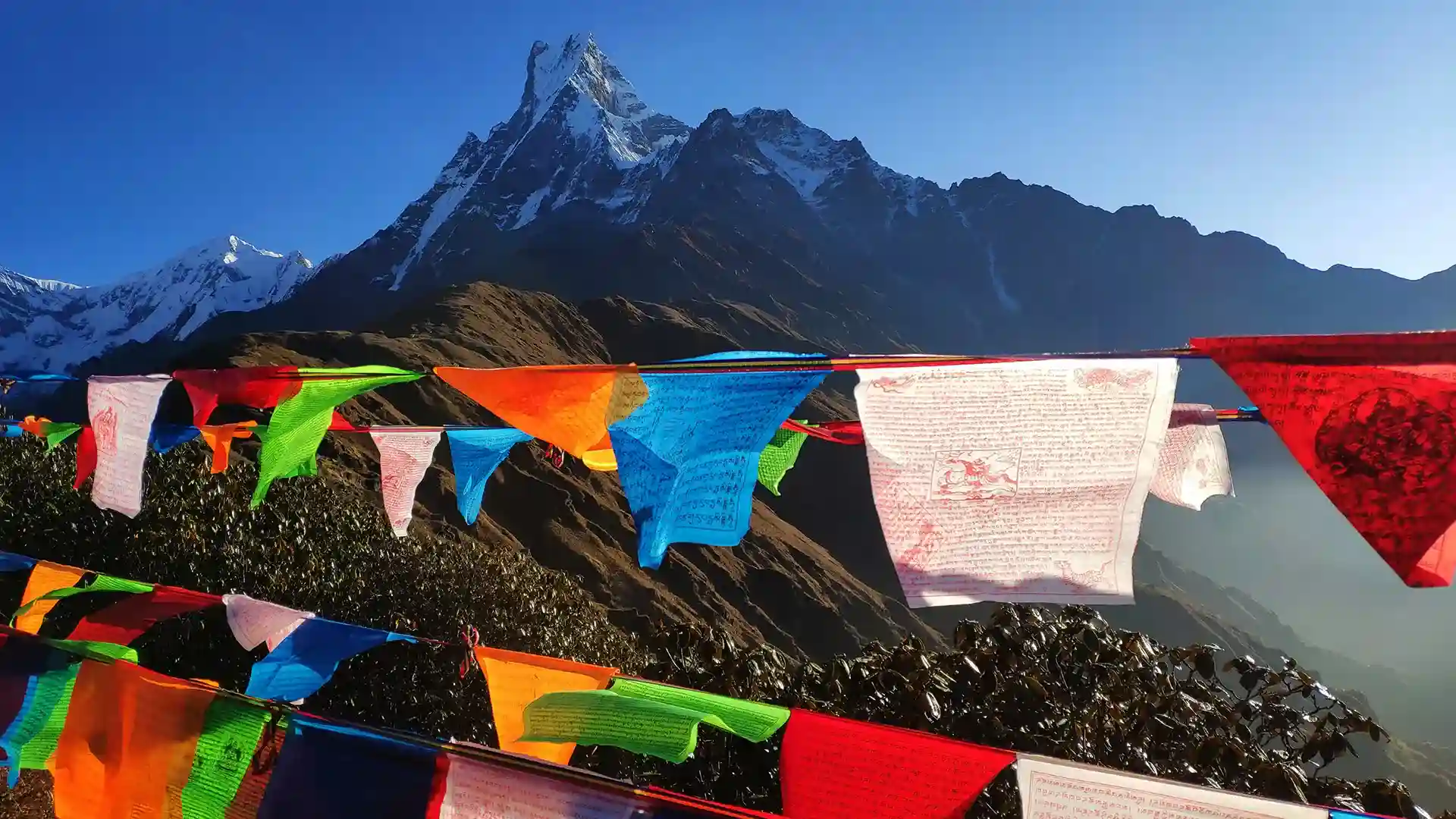 Mardi Himal Base Camp Lumle Nepal - GlobalXplorers