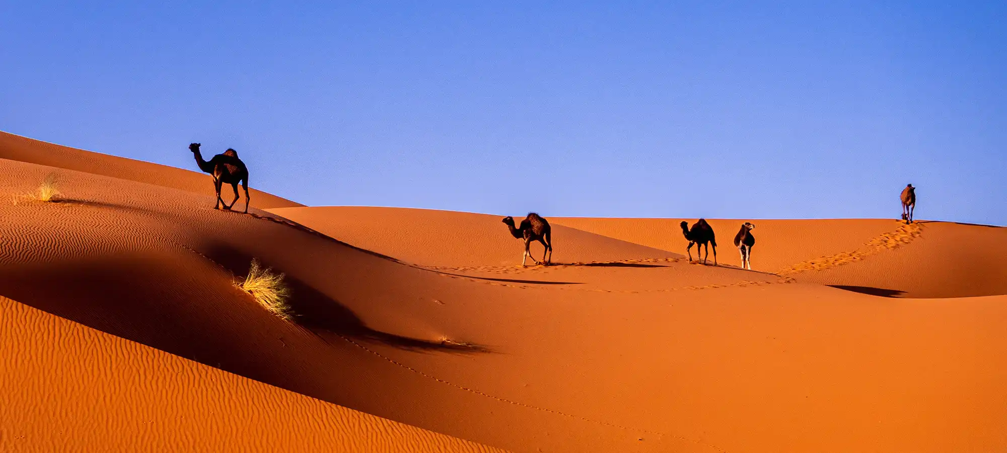 Morocco - Globalxplorers