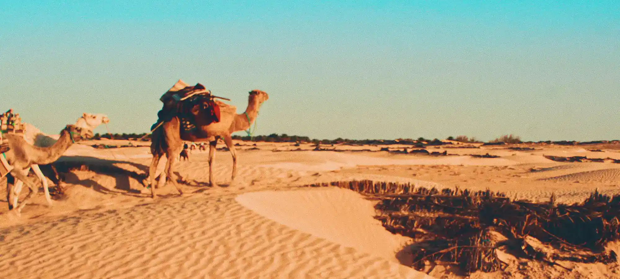 Tunisia - Globalxplorers