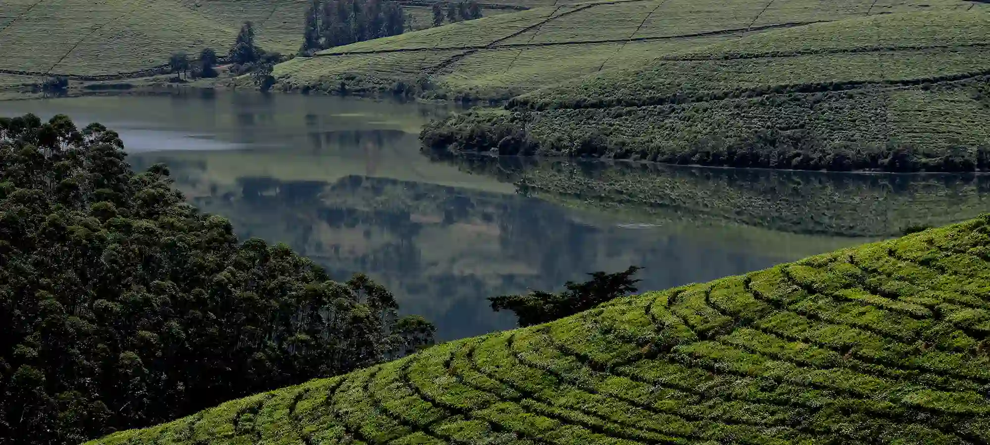 Zimbabwe - GlobalXplorers