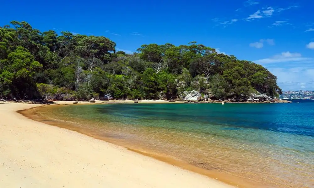 Store Beach - GlobalXplorers