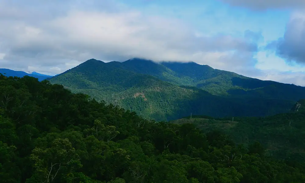 North Queensland - Australia - GlobalXplorers