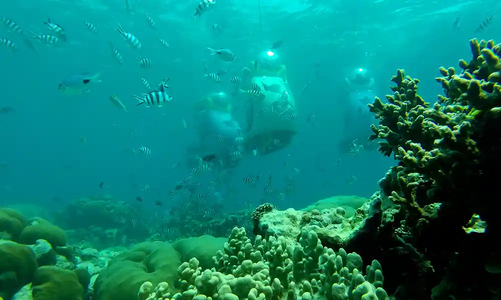 Try Scuba Doo underwater scooter, an unusual experience to discover underwater