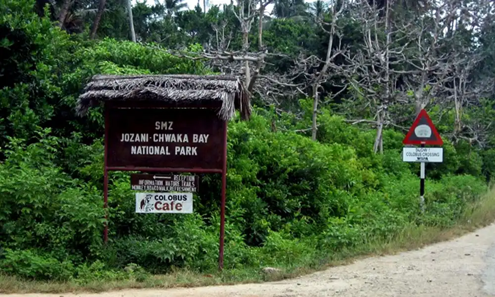 Jozani Chwaka Bay National Park - GlobalXplorers