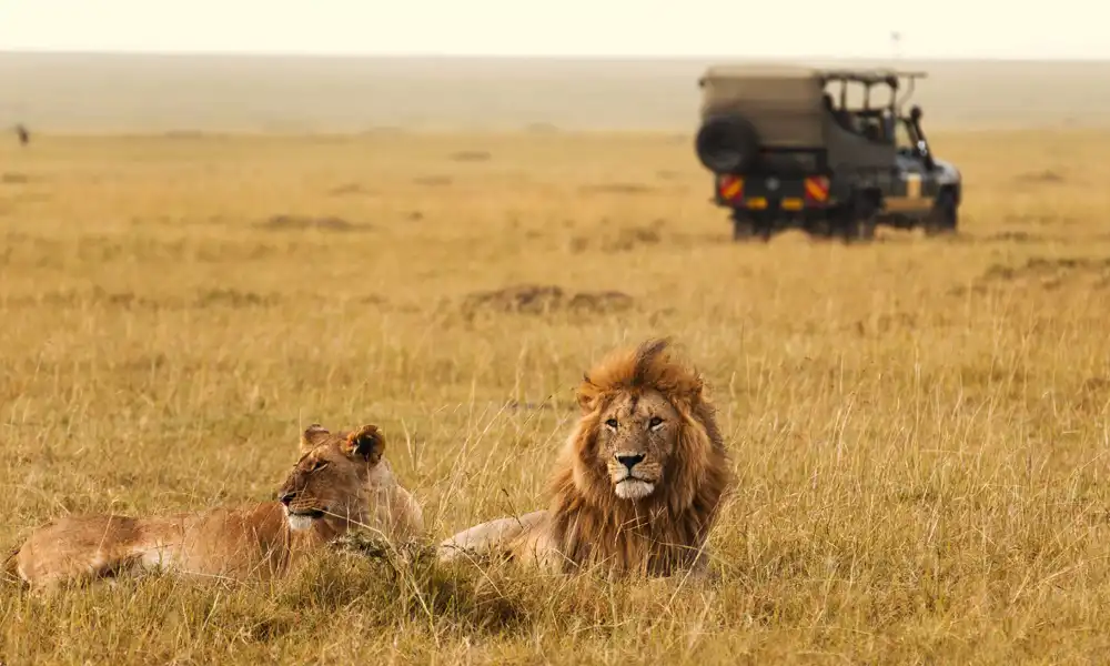 Maasi Mara - GlobalXplorers