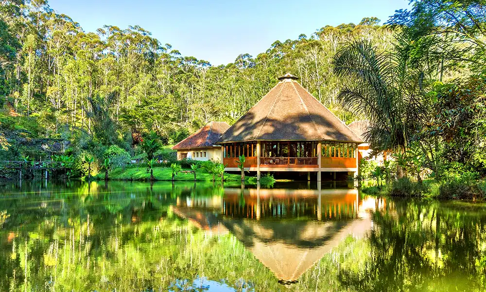 Andasibe National Park - GlobalXplorers