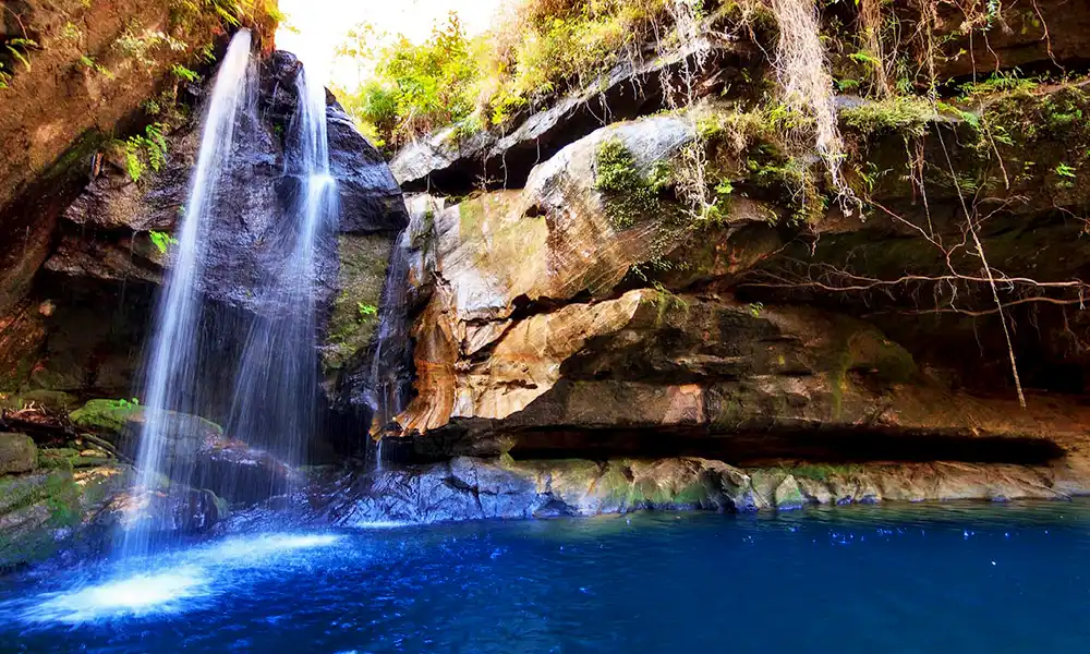 Reniala Private Park - GlobalXplorers