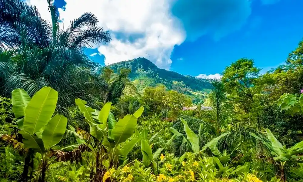 Ranomafana national park - GlobalXplorers