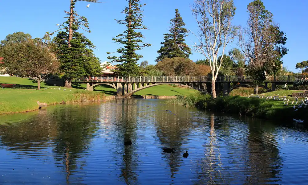 Angas River - Strathalbyn - Global Xplorers