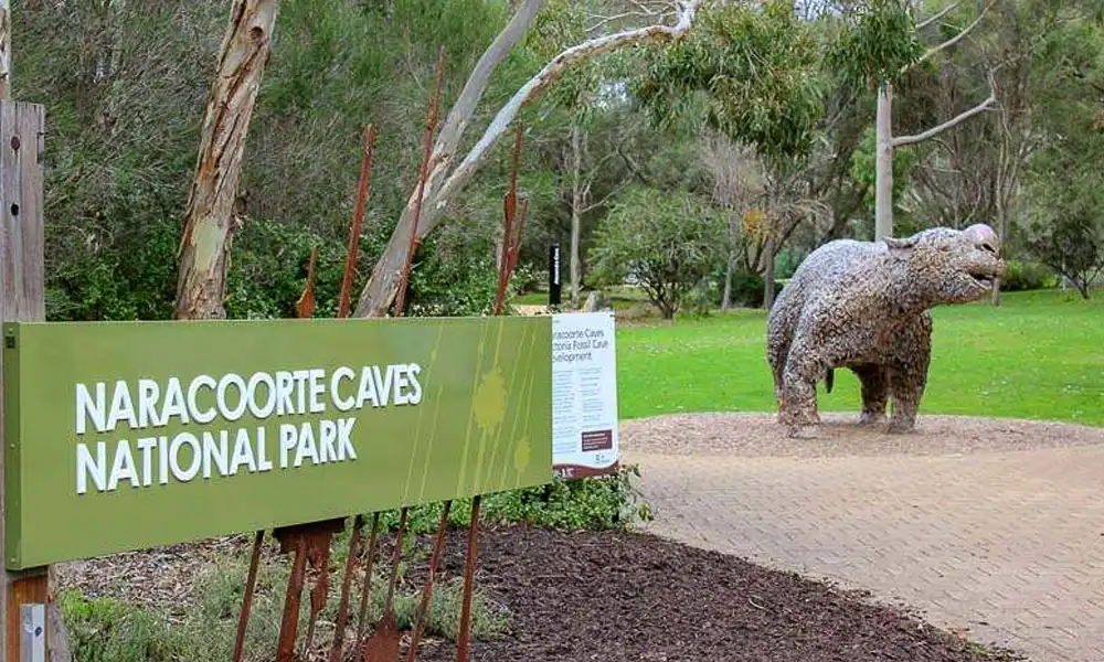 Naracoorte - Caves - National Park