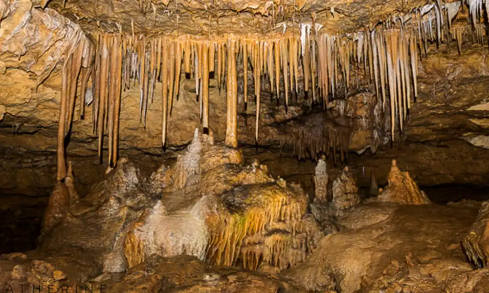 Victoria Fossil Cave - GlobalXplorers