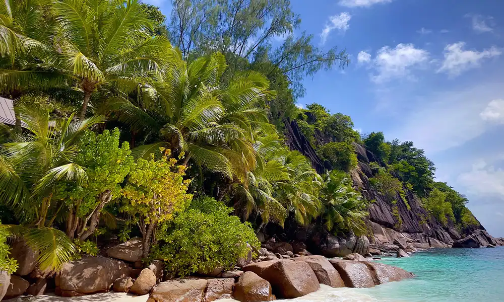 Iconic Seychelles <img src=https://globalxplorers.com/wp-content/uploads/2022/12/Active.png class=activebut>