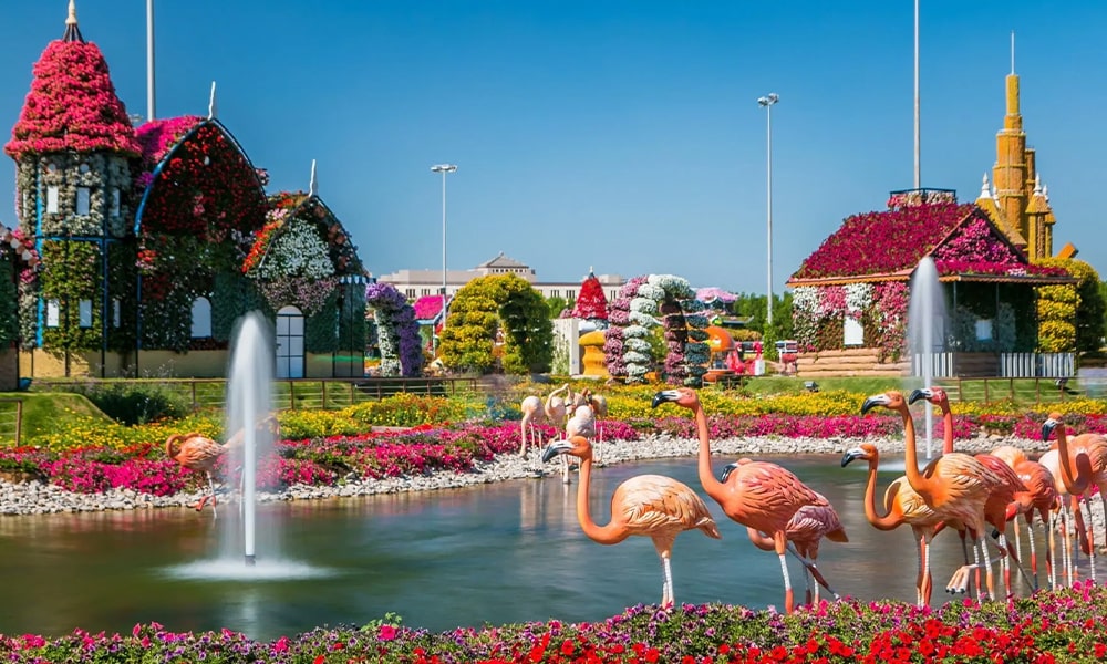 Dubai Miracle Garden - GlobalXplorers