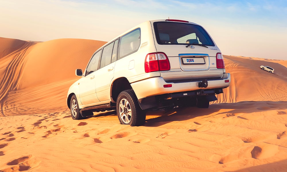 Camel Rides - GlobalXplorers