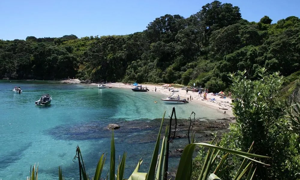 Tiritiri Matangi Island - GlobalXplorers