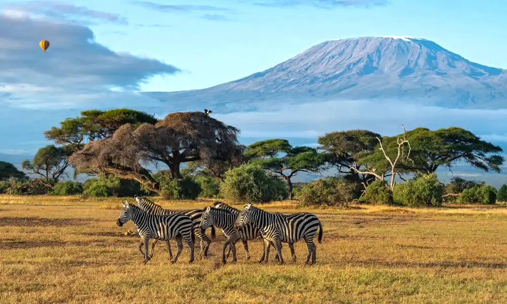 Masai-Mara-Amboseli-Wildlife-Safari-04